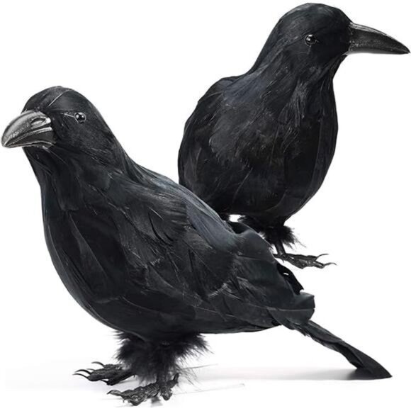 Halloween Decor 2 PCS Realistic Crow Halloween Decor Birds Black Feathered Crows - Picture 8 of 8